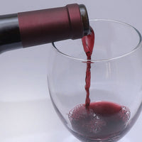 Vino Tinto "Diacronía" - Ensamble Cabernet Sauvignon - Shiraz 2021