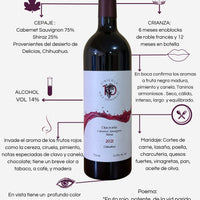 Vino Tinto "Diacronía" - Ensamble Cabernet Sauvignon - Shiraz 2023